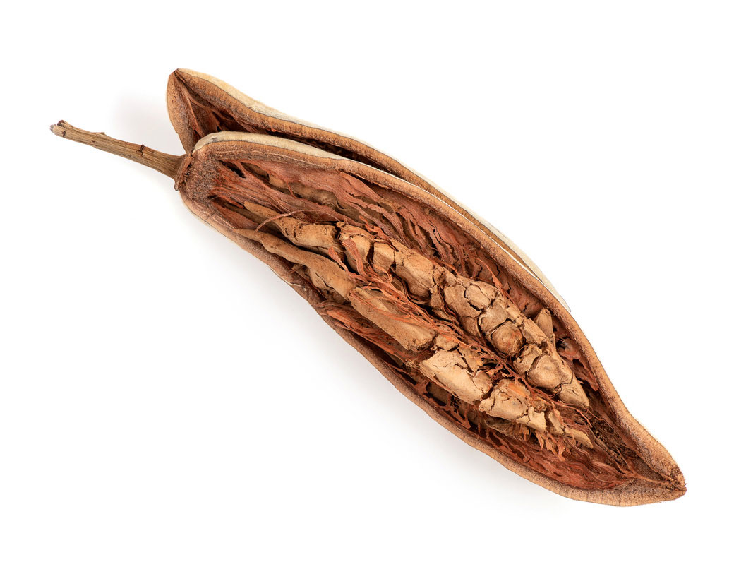 Adansonia Digitata Seed Oil