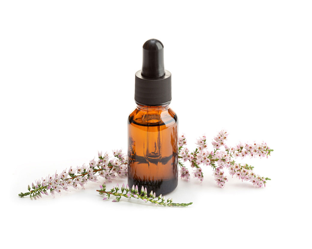 Calluna Vulgaris Extract