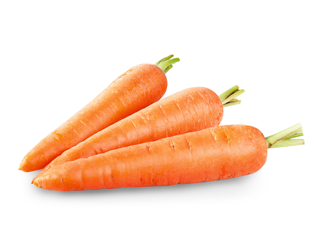 Daucus Carota Sativa (Carrot) Root Extract