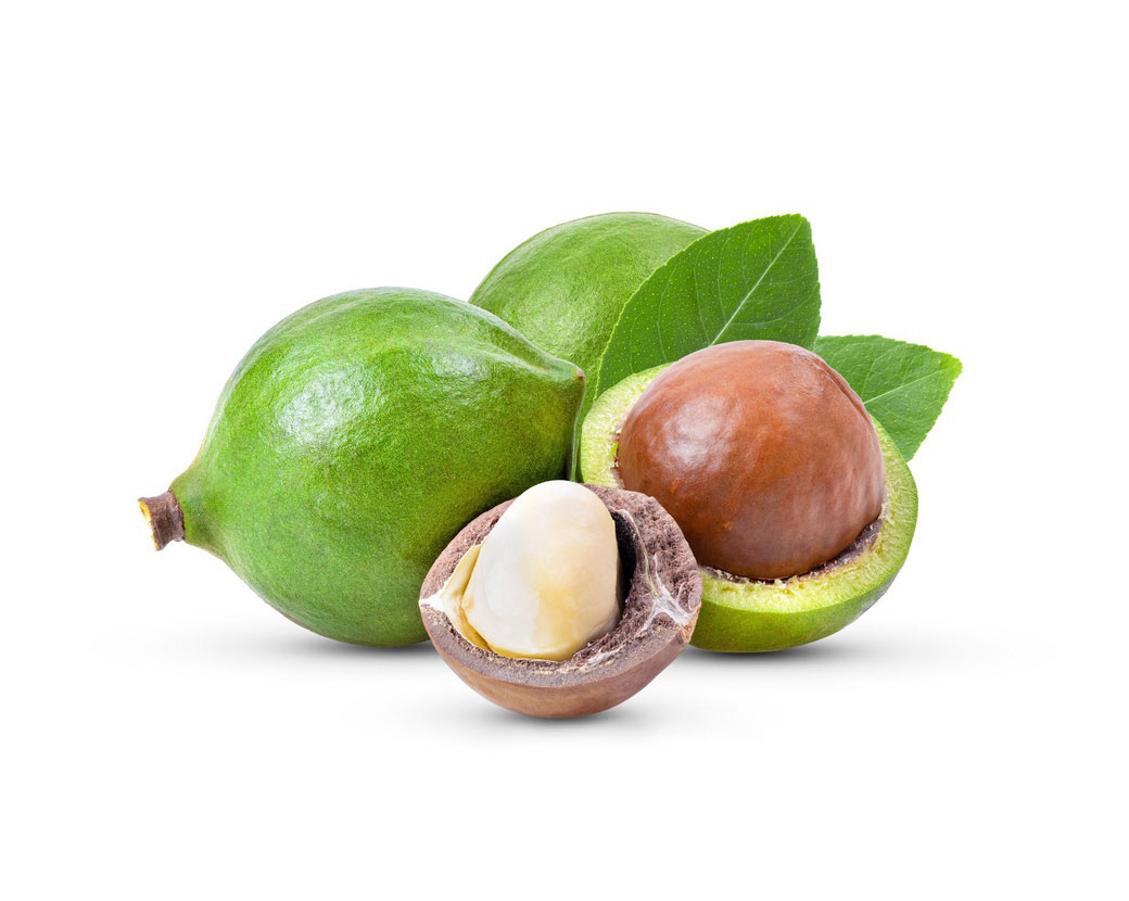 Macadamia Integrifolia Seed Oil