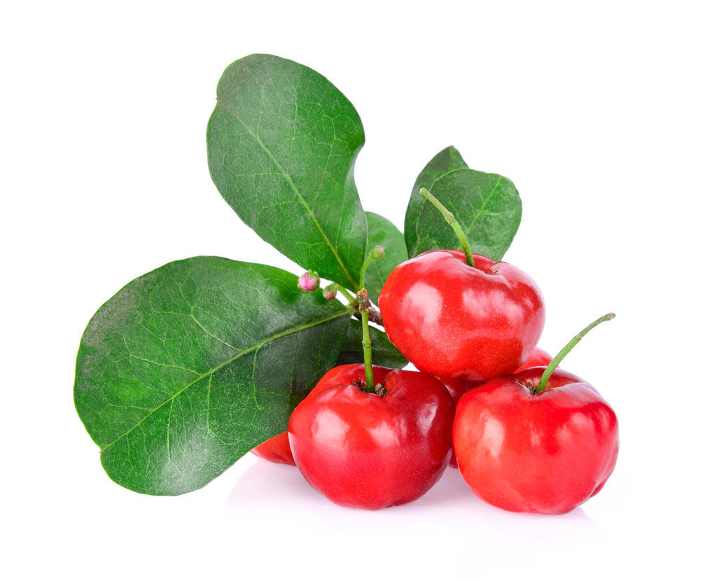 Malpighia Emarginata (Acerola) Seed Extract