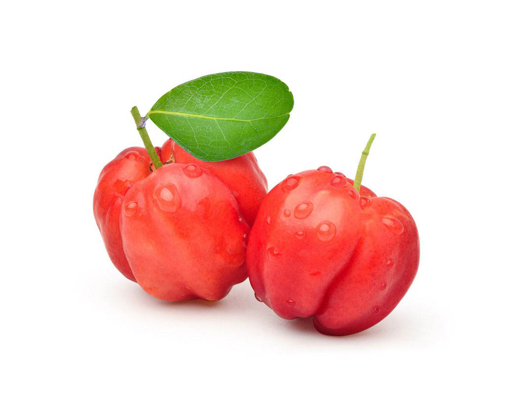 Malpighia Punicifolia (Acerola) Fruit Extract
