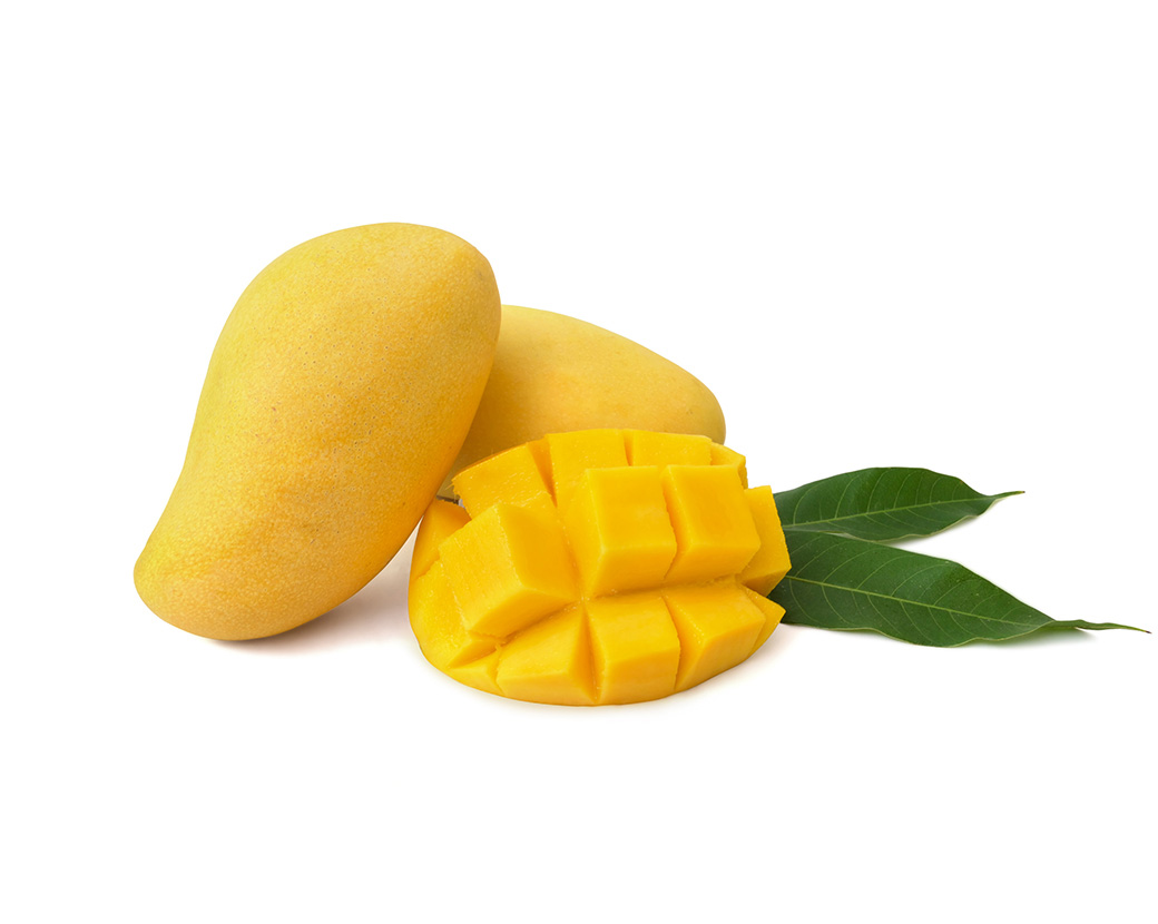 Mangifera Indica (Mango) Seed Butter