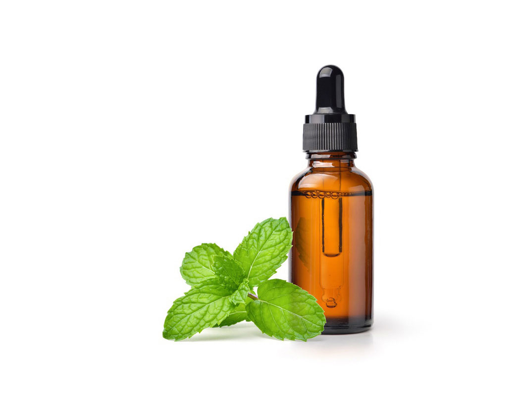Mentha Piperita (Peppermint) Leaf Extract