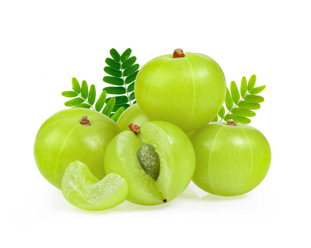 Phyllanthus Emblica Fruit Extract