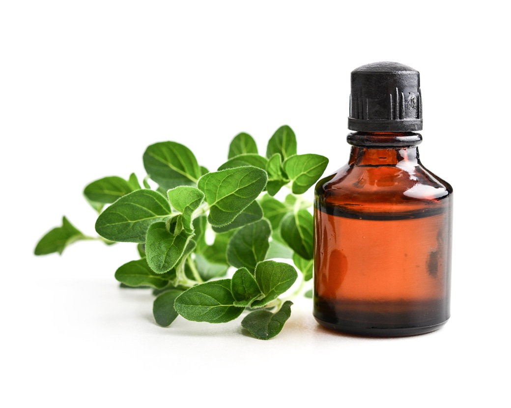 Pinus Pumilio Leaf Extract