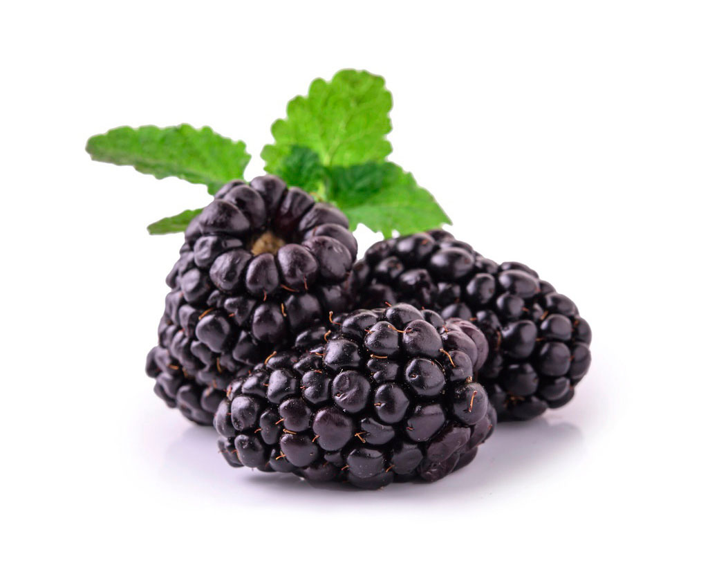 Rubus Fruticosus (Blackberry) Fruit Extract