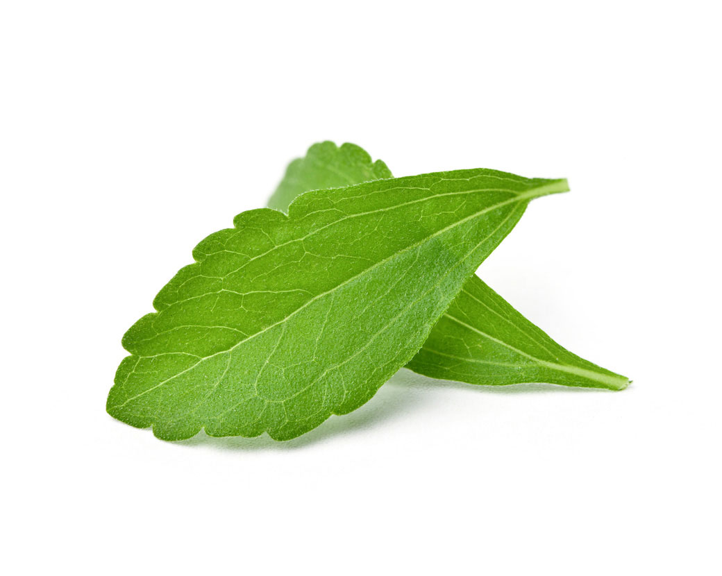 Stevia Rebaudiana Leaf/Stem Extract