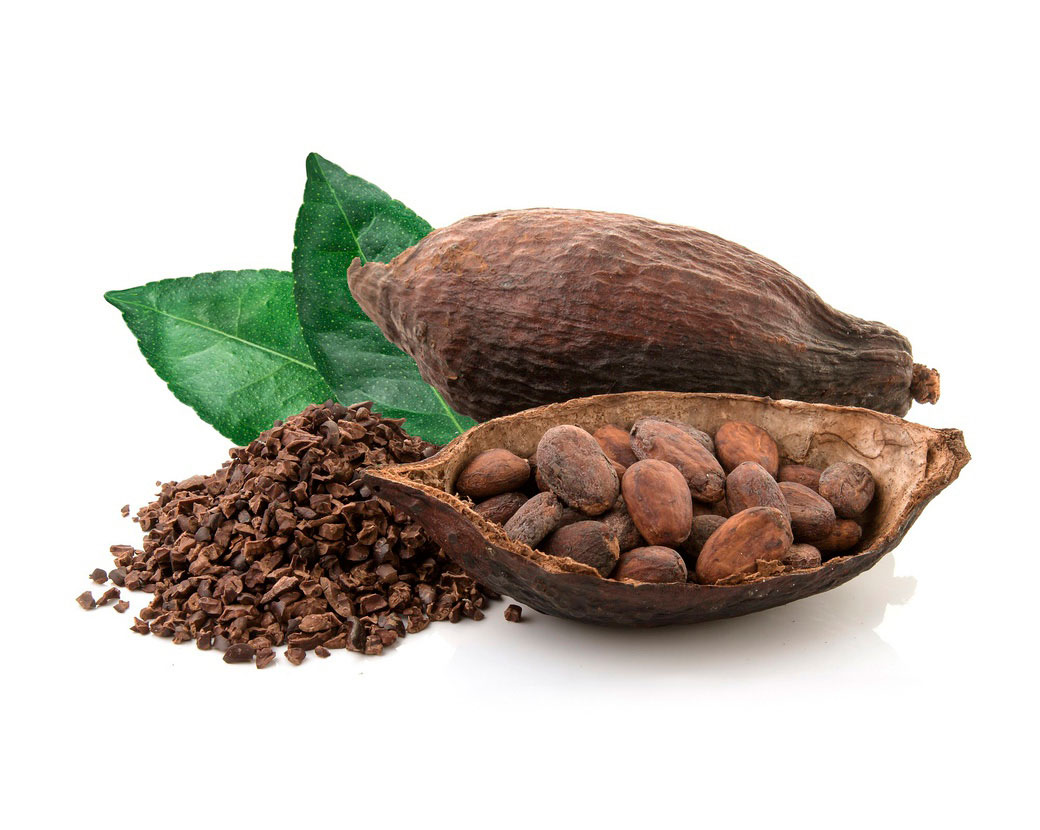 Theobroma Cacao (Cocoa) Seed Extract