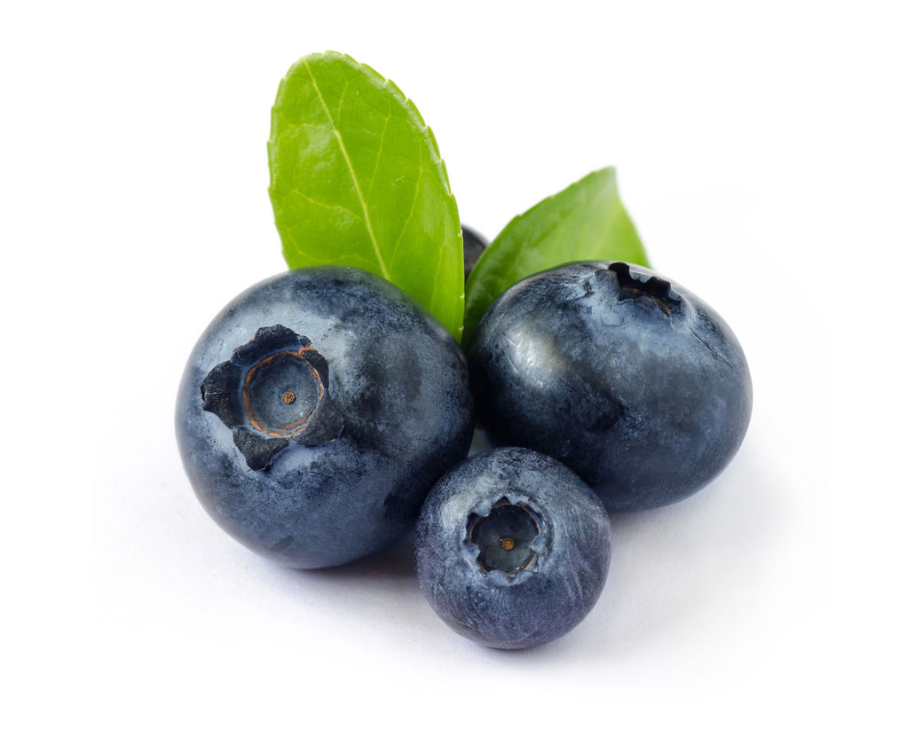 Vaccinium Angustifolium (Blueberry) Fruit Extract