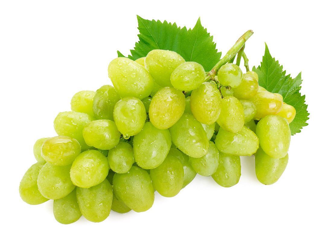Vitis Vinifera (Grape) Fruit Cell Extract
