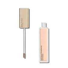 Luminous Complexion Concealer