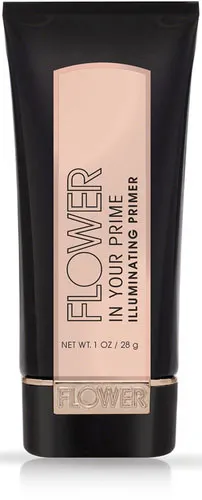 In Your Prime Illuminating Primer