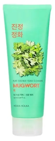 Holika Holika Pure Essence Mugwort Foam Cleanser