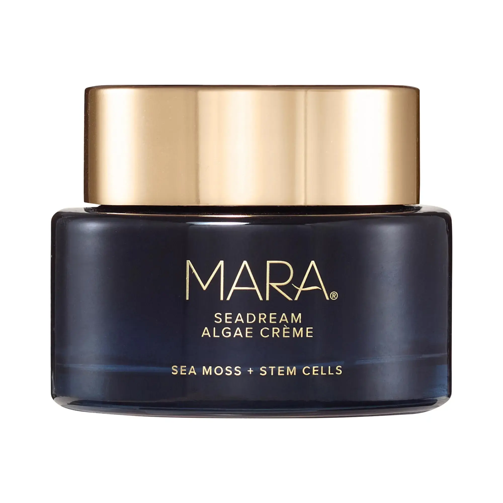 SeaDream Firming Algae Creme Moisturizer with Sea Moss + Peptides