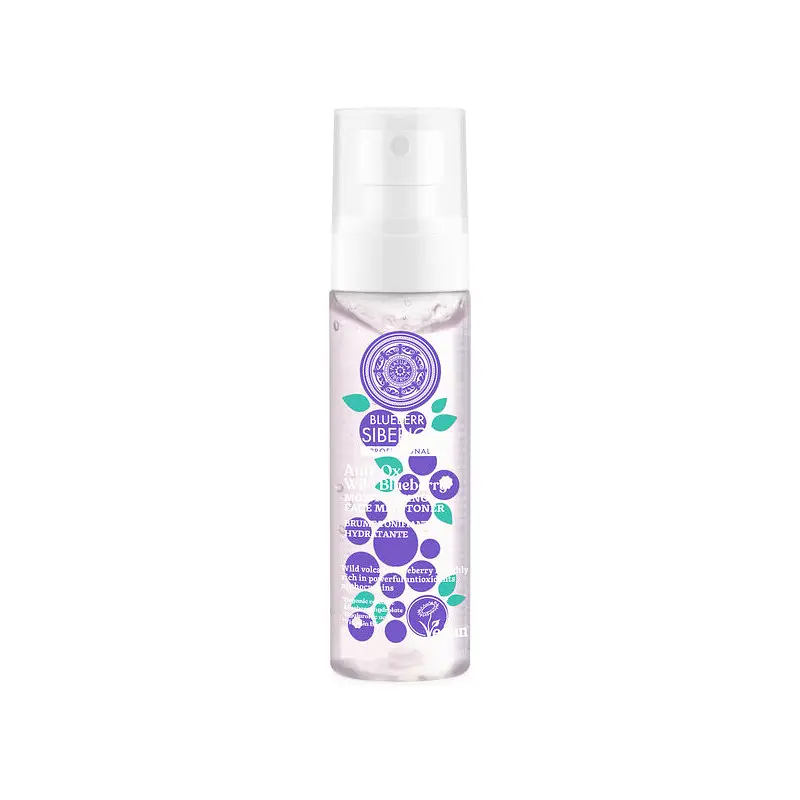 Anti-Ox Wild Blueberry Moisturizing Toning Mist Face Toner